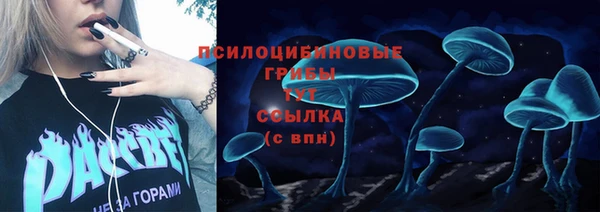 таблы Алзамай