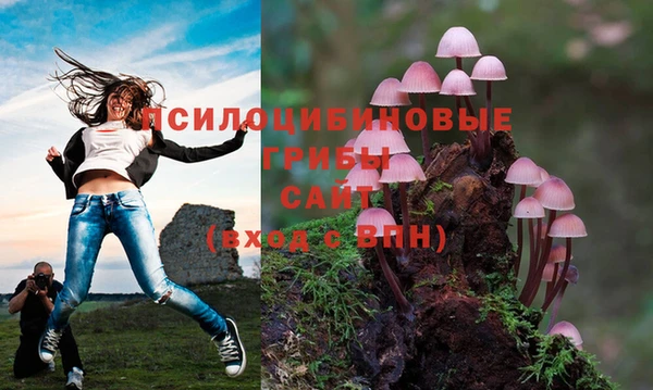 твердый Алексин