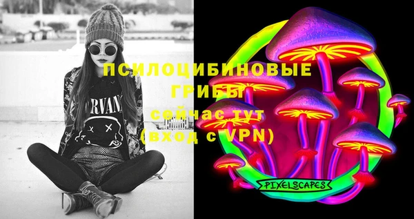 твердый Алексин