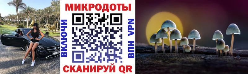 Купить  Санкт-Петербург  Псилоцибиновые грибы GOLDEN TEACHER 